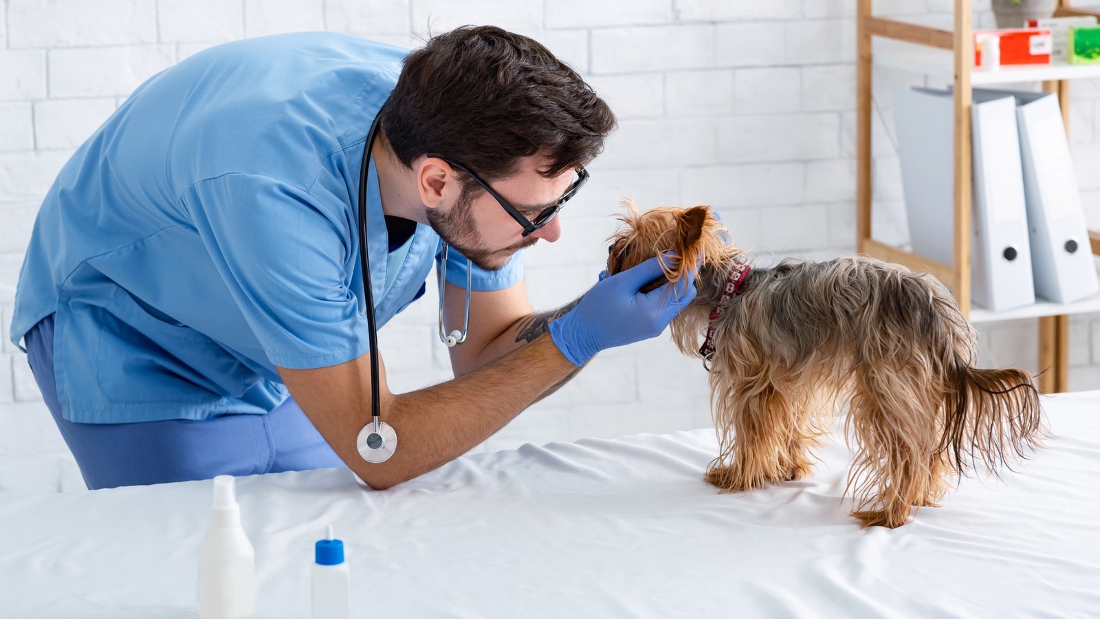 Consultas Veterinárias
